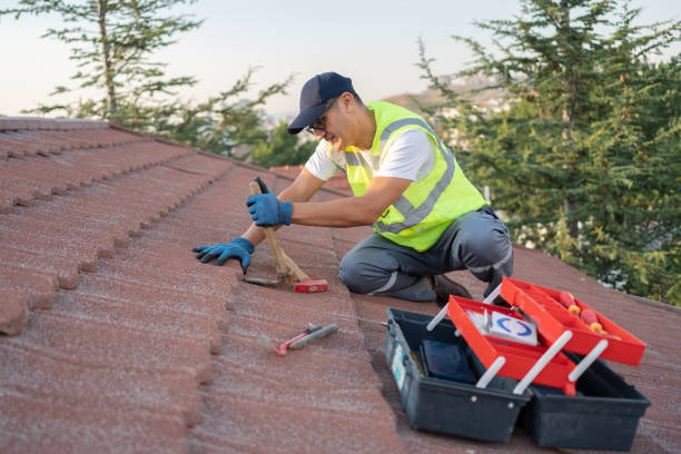 Best Local Roofing Companies  in Andalusia, IL