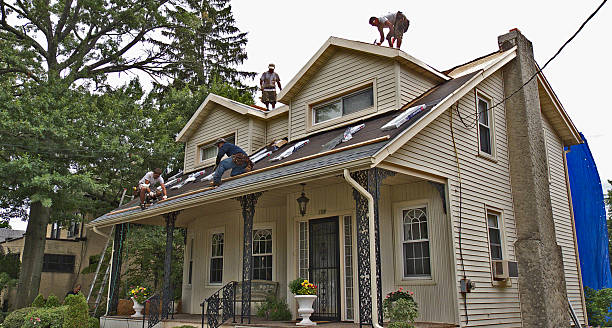 Best Shingle Roofing Installation  in Andalusia, IL