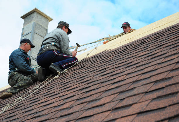 Best Storm Damage Roof Repair  in Andalusia, IL