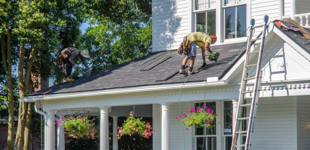 Professional Roofing Contractor in Andalusia, IL