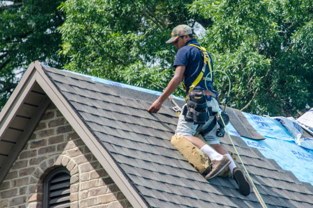 Best Tile Roofing Contractor  in Andalusia, IL